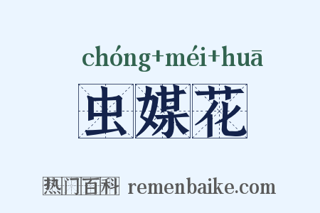虫媒花是什么意思的图片